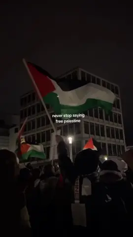 From the river to the sea Palestine will be free🇵🇸🕊️ #freepalestine🇵🇸❤️ #explorepage #palestine  #foryoupage #fypシ 