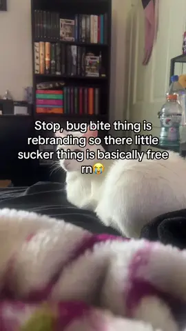 #bug #bugbitething #bugbite #fyp 