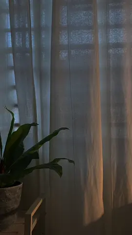 ❤️ صلو على حبيبكم  #اللهم_صلي_على_نبينا_محمد #صلوا_على_رسول_الله #يوم_الجمعه #دعاء 