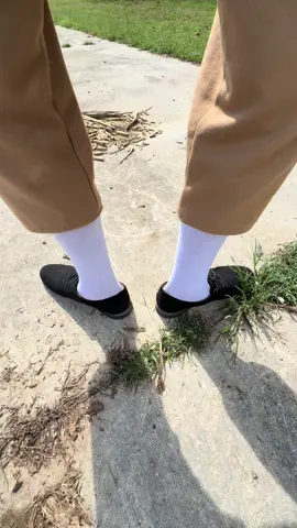 HORSE REVIEW #pitbike #1776 #fypシ゚viral #skit #views 