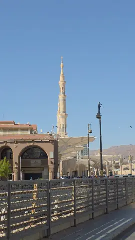 #المدينه_المنوره  #حرم_الرسول  ننزل مدينه ام سور نوافي المحملا 💚💚💚