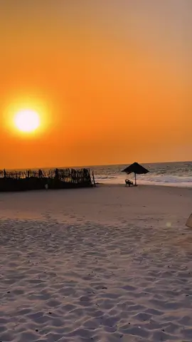 ريحه الحبايب صيف ٢٠٠٤ عمرودياب🇪🇬❤️ #عمرو_دياب #الهضبه #الهضبه_العشق🎩👌 #ريحه_الحبايب #تصويري📷 