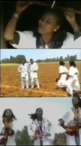#videoviral #amlesetmuchie #youtube #teddyafro #ፍቅርብቻ🥀🦋💓🦋🕊️🔐🦋♥🥀👑💜💜💜💜💜💜🎧🎵 