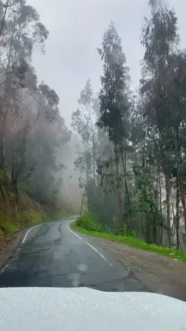 #ruteros #toyota #cargapesada #rutas 