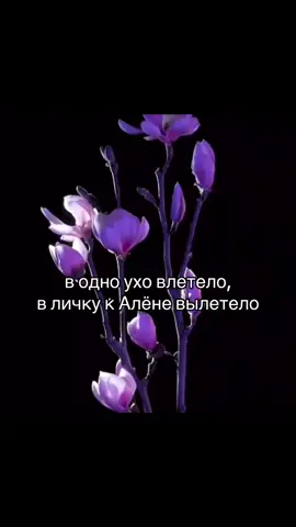 #алёна #люблюА #водноуховлетеловдругоевылетело #Алёна 