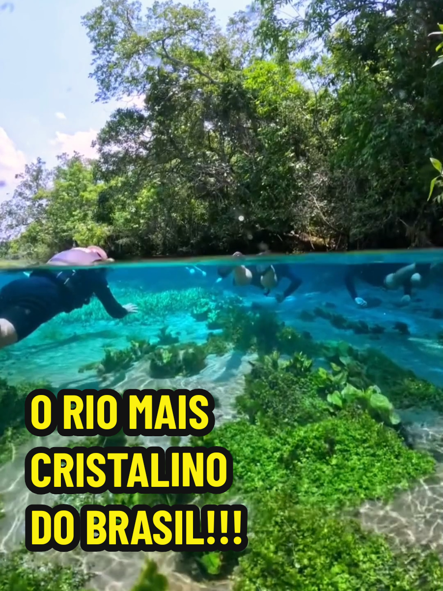 Rio Sucuri o terceiro mais cristalino do mundo #natureza #turismo #Brasil 