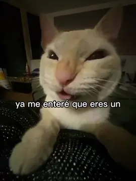 ya me enteré que eres un alien 👽👽👽😁