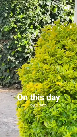 #onthisday