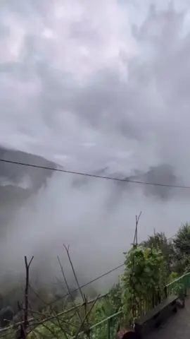 Dağların dumanı hiç geçit vermez 💚☘️ Öykü Gürman 🎶🎙 #senanlatkaradeniz #öykügürman #karadeniz #keşfett #tahirkaleli 