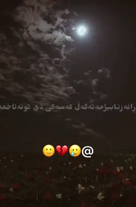 #گوهداربـــــــــــــە🤍 #🥺🥺🥺 #في هذا اليوم 