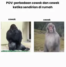 🫵🫵