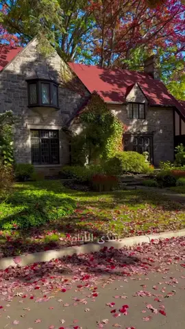 أجمل شعور وهو الشعور بالسكينة#خواطر_من_القلب #اقوال 