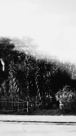 إِذا سَطا خافَ الأَنامَ جَميعُهُم · مِن بَأسِهِ وَاللَيثُ عِندَ عِيانِهِ #عاشق_الخيل 