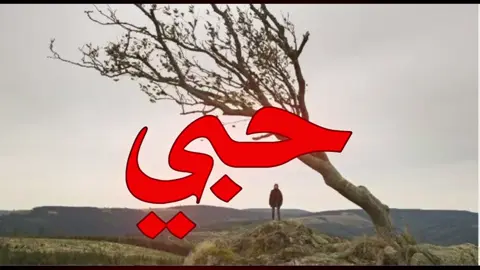 كل يوم حبي يزيد الك…!!!#اغاني_مسرعه💥 #اغاني_عراقيه #fyp #foryou #foryoupage 