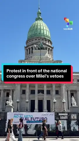 The Argentine people are gathering in the capital city of Buenos Aires in front of the National Congress, awaiting the vote on Javier Milei's vetoes of the Pediatric Emergency Law and the University Financing Law. #Argentina #JavierMilei #Protests #teleSUR 
