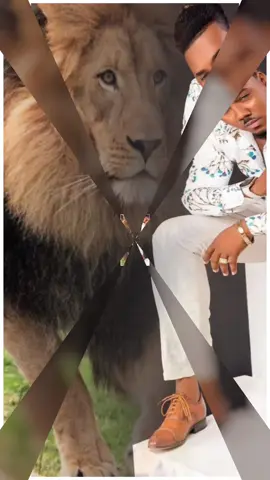 @Lion official #GE #genz #TeamLionGang #metforéa #GeorgesErnstLion 🔥🔥🦁🦁🦁