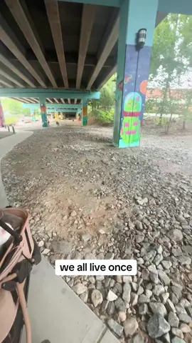 #catsoftiktok #petstroller 
