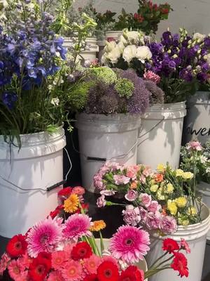 לפרטים נוספים והזמנות לסדנת שזירה המיוחדת שלנו לחצו>>