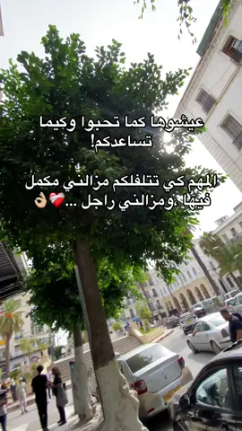 #تصميم_فيديوهات🎶🎤🎬 #دير_جام_في_خاطر_هاذ_الفيديو❤✨ #100k #algeria🇩🇿 
