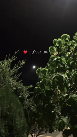 ❤️🌷#Allah #fyp #tiktok #viral #foryou 