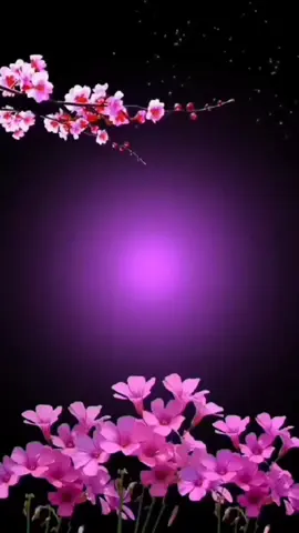 #fyppppppppppppppppppppppp #hayırlıcumalar #fypシ #paylaş #keşfet @uzm.ilyaseren7878 @Eren EREN 