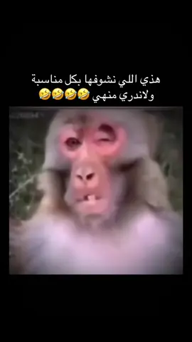 #مشاهدات #الشعب_الصيني_ماله_حل😂😂 #😂😂😂😂😂   