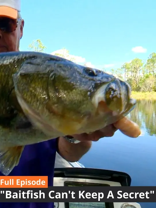 Baitfish can be a huge indicator when you want to locate bass and this week Bill covers many techniques on locating and landing his personal favorite. Join us to learn about all things baitfish on this episode of Bill Dance Outdoors titled 