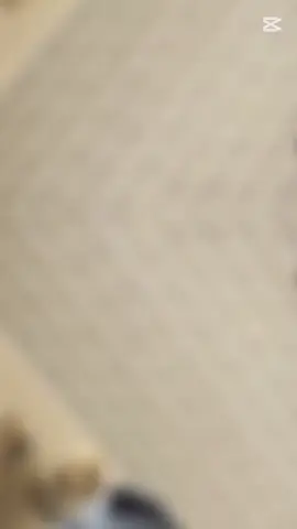 Agunechemba#CapCut#goviral  @The🌴 Real🔞 Danny💦 