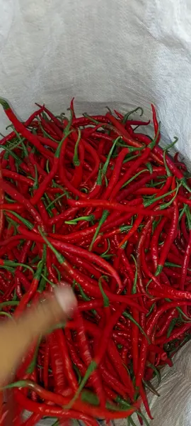 #bissmillah #pesona_bakul_eceran #rejekiwesdiatur 