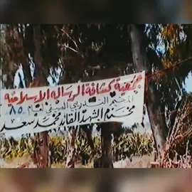 محمد سعد/داوود داوود قرار الجنوب💚