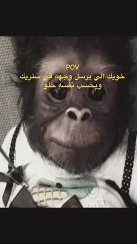 #ذبات #ضحك#foryou #fyp ههههههههههههههههههههههههههههههههههههههههههههههههههههههههههههههههههههههههههههههههههههههههههههههههههههههههههههههههههههههههههههههههههههههههههههههههههههههههههههههههههههههههههههههههههههههههههههههههههههههههههههههههههههههههههههههههههههههههههههههههههههههههههههههههههههههههههههههههههههههههههههههههههههههههههههههههههههههههه