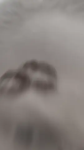 #pppppppppppppppp #pppppppppppppppp #capcut #capcut