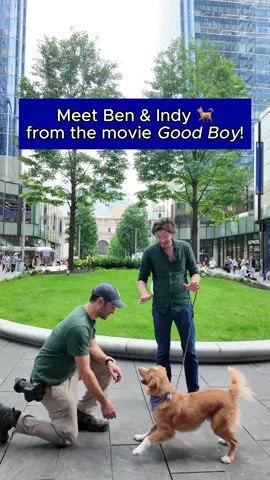 I had the pleasure of meeting the star of the upcoming horror film Good Boy, Indy, and his dad, and director, Ben Leonberg! “We definitely didn’t get Indy thinking he’d be an actor. I started writing the film long before he was born. I think everybody who has a dog has wondered why their dog barks at nothing in the middle of the night. We can’t help but use our imagination and wonder – maybe the house is haunted and our dog who has extraordinary senses is picking up on something we can’t?” 👻 Good Boy is now playing in theaters nationwide! @Independent Film Company @shudder 