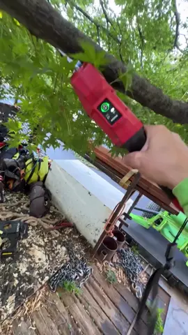 Fastest Pruning. Most Control. Reduced Fatigue. M12™ Brushless Pruning Shears. Video Credit: @tree_strider #MilwaukeeTool #NothingButHeavyDuty #pruning #landscaping