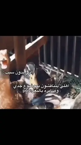#المشاهدات .#لايكات .#الشعب_الصيني_ماله_حل😂😂 .#بغداد_بصرة_موصل_الكويت_الخليج_دبي_ 