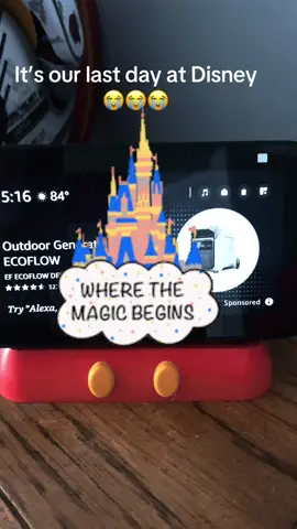 #disney #magickingdom #fyp #foryoupage #foryourpage 