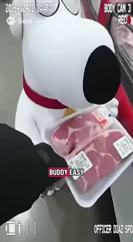 *BRIAN GRIFFIN ARRESTED* ##familyguy##police##fypシ##sora2