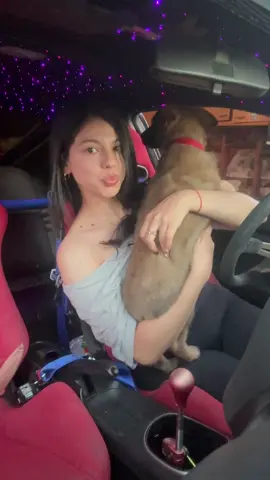 I’m a mommy #cars #puppy