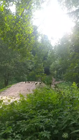 @EgorkaEbanutuy  лучшее лето #tiktok #dirtjump  #mtb #slopestyle #могилев 