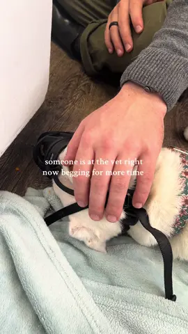 after having to behaviorally euthanize our dog at 3ish years old… i think about death a lot. since going through the worst of it, i feel relatively comfortable with it and know it can come unexpectedly at any moment and im at peace with that. i think death makes life more meaningful, it gives weight to the small moments. i soak in every single moment with louie.. every one. i know how lucky i am with a boy like this and i take every opportunity to bask in that because i know what it feels like to regret not doing enough #behavioraleuthanasia #goexplore #dogsoftiktok #dogtok #dogadventures 