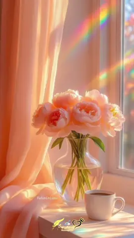 ✨ صبح کی پہلی روشنی کے ساتھ دعا ہے آپ کی زندگی ہمیشہ خوشیوں سے بھری رہے 🤲#maliksaqib309 #saqibwrites000 