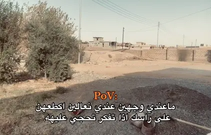 #شعر_عراقي #fyp 