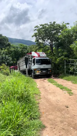 #salama #petenerosde❤🇬🇹👈 