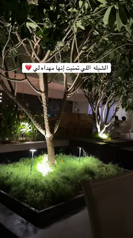 #اكسبلورexplore #شعر #شيلات #fyp #اشجار_كافية 