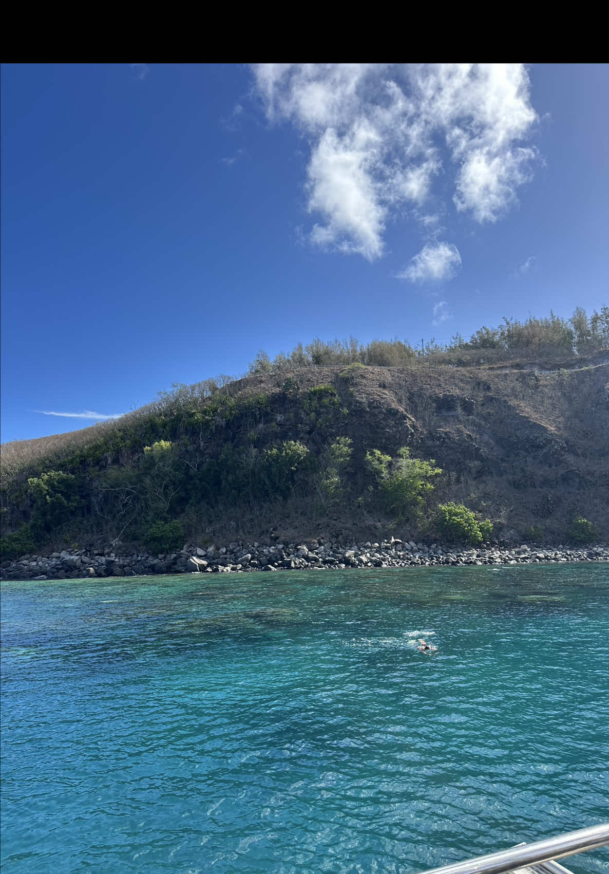 Trilogy Excursion: 10/10!!!🐠🐢 #trilogyexcursions #Maui #Hawaii #snorkeling 