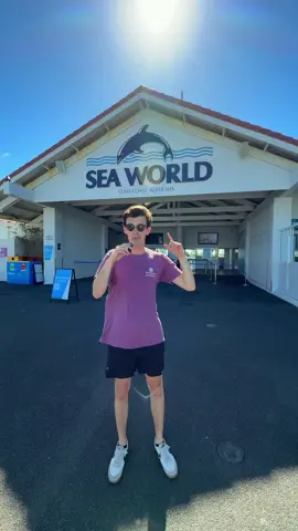 Theme Park Fit Check at Sea World Australia 🦈🎢 #themepark #fitcheck #tiktokshop #seaworld #goldcoast 
