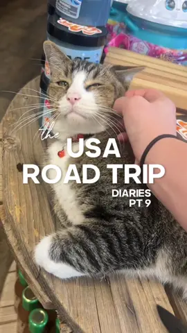🗺️🫶🏼🍋🐈🤠✨#travel #newmexico #Hiking #roadtrip #rvlife 