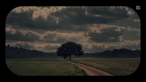 #❤️ #لايك #قران 