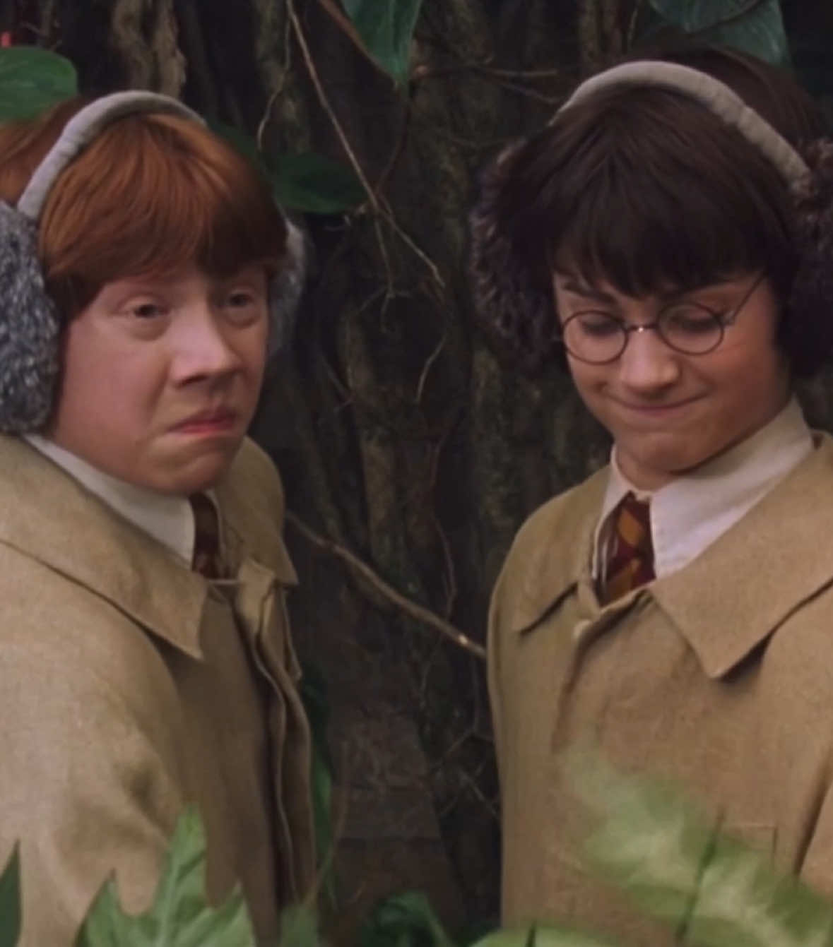 they’re so stupid I love them #harrypotter #ronweasley #harrypotteredit #edit #fyp 