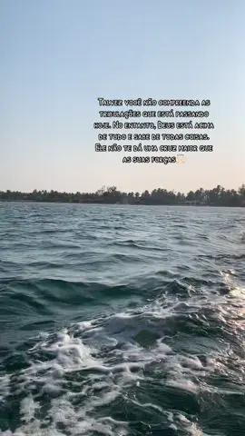 Talvez você não compreenda as tribulações que está passando hoje🙌🏻. #deusnocontrole #deusnocomando #féemdeus #fé #acredita 